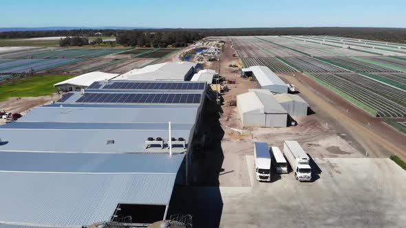 Aerial View of a Crop Plantation in Australia