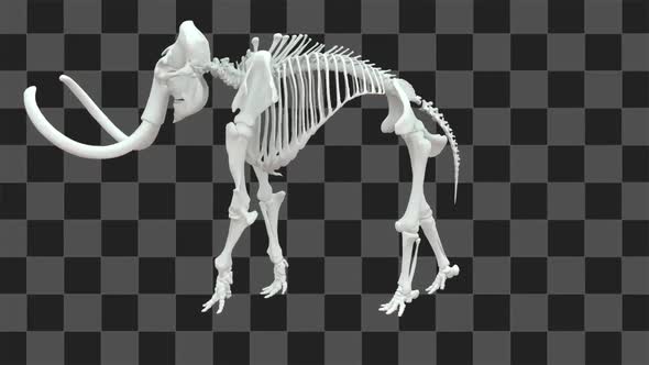 Mammoth Skeleton alt