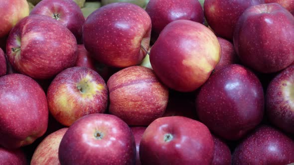 Apples. Fruit Vitamin