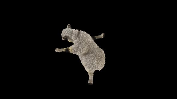 03 Sheep Dancing HD