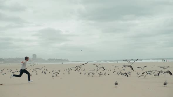 The Boy Happy Man Male Tourist Runs Along the Beach Lake Promenade and Chases Pigeons Seagulls Gulls