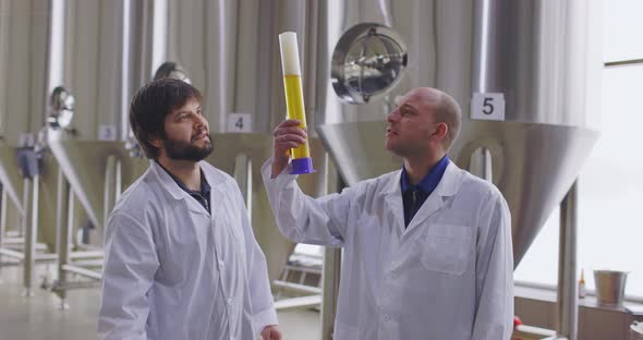 Two Men Testing Quality of Fresh Beer in a Brewery