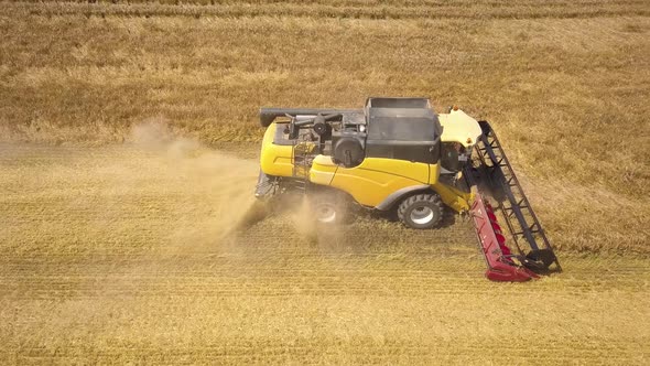 Aerial view of combine harvester harvesting large ripe wheat field. Agriculture from drone view.