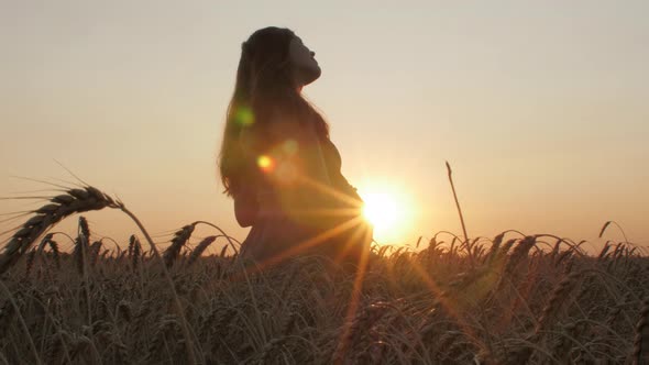 silhouette figure of happy pregnant red-haired young woman in dress standing in ripe wheat field