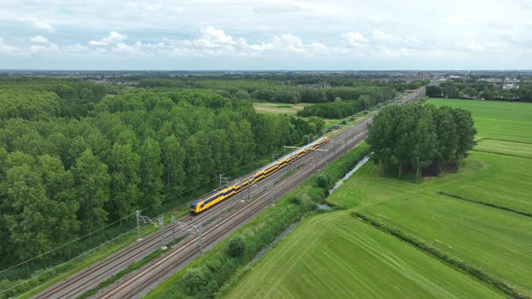 Dutch Moving Commercial Train in Nature Forrest Landscape