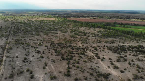 Flying Over a Field with Green Vegetation, Trees, Forest, Shrubs and Farmland