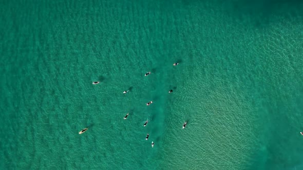 A high view of surfers sitting in the clear ocean water waiting to ride the waves