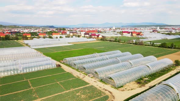 Aerial View of a Greenhouse Fields of Green Plantations for Growing Vegetables