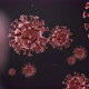 The virus Coronavirus (COVID-19) medical animation. - VideoHive Item for Sale