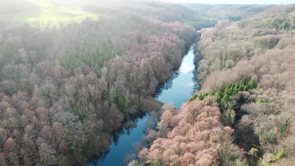 Kennel Pond, Stroud in Woodchester park between trees, aerial view