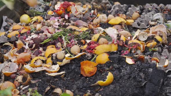 Disposing of Food Organic Waste and Sorting Waste