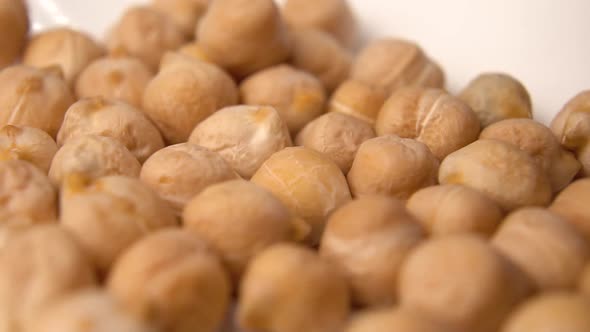 Chickpea beans close-up. Cicer arietinum.