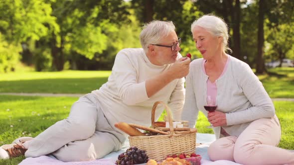 Happy Senior Couple Having Picnic at Summer Park