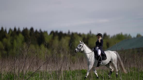 Professional Horse Rider Lady is Riding Stallion is Walking at Nature at Summertime