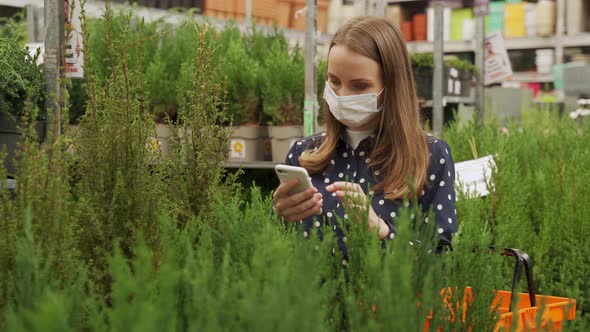 Young Woman in a Protective Mask Chooses and Buys a Tuya at a Garden Center in Early Spring