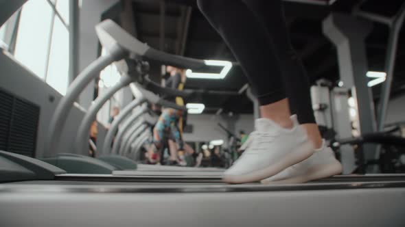 Womens legs in sports uniforms and sneakers are engaged jogging in gym on treadmill, closeup.