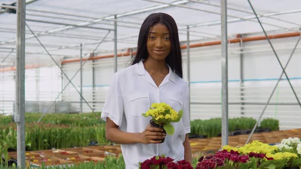 Beautiful Young African American Girl in a White Shirt Chooses Flowers in the Greenhouse