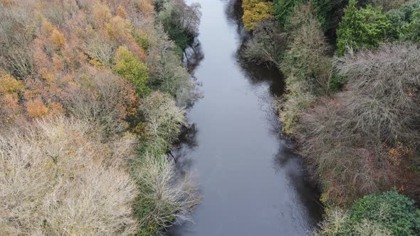 Reflection On Calm Water - River Liffey In County Wicklow During Fall Season In Ireland - aerial dro