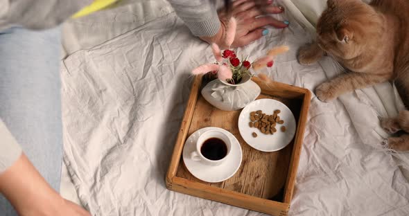 Woman Sitting on the Bed and Drink Coffee Cat Feeding During the Morning Sunlight