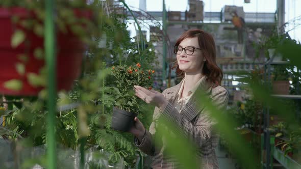 Woman Examines Flowering Plants in Garden, Female with Glasses for Vision Buys Decorative