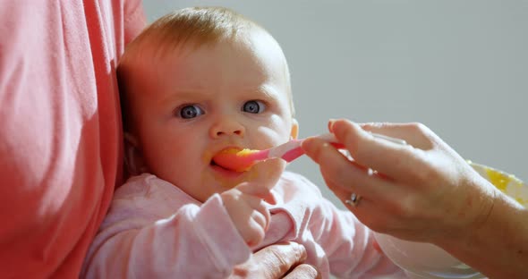 Parents Feeding Their Baby Boy at Home 4k