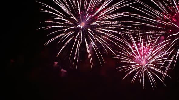 Colorful Fireworks Exploding in the Night Sky