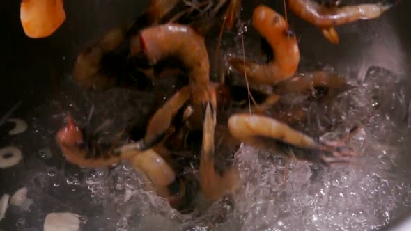 Raw Large Prawns Fall Into Boiling Water