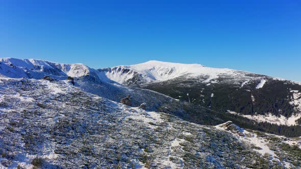 Landscapes of the Carpathian Mountains Covered with Large Stone Ledges in Ukraine Near the Village