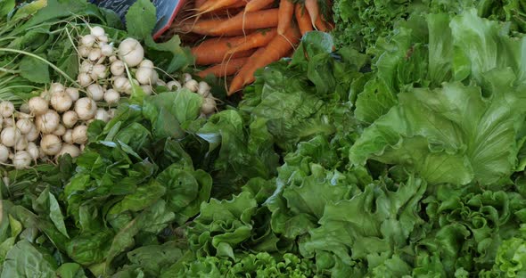 Fresh vegetables on stalls in a southern France market.