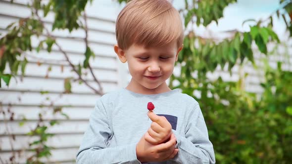 Happy Child 4 Years Old Holding and Smelling Raspberries in Backyard