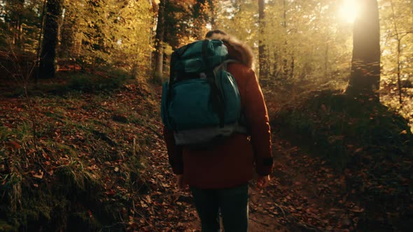 Trekking Under The Autumn leaves