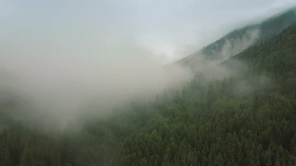 Mystic and Big Foggy Drone Flight Over the Rainforest in Mountain. Middle Shot