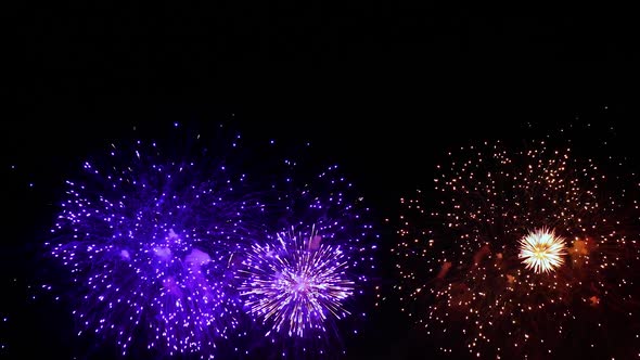 Colorful Fireworks Exploding in the Night Sky