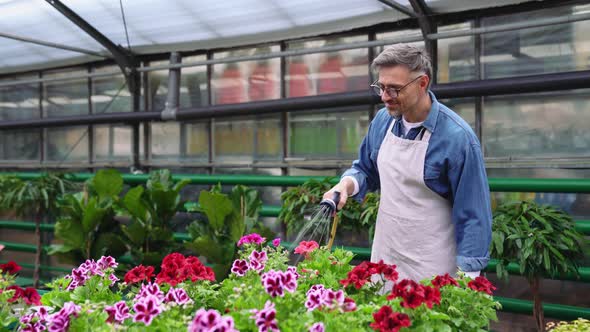 Smiling grey haired florist man watering flowers