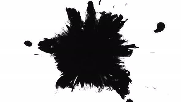 Super Slow Motion Shot of Black Ink Drop Isolated on White Background at 1000 Fps