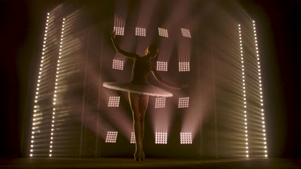 Professional Ballerina Dancing Ballet in Spotlights Smoke on Big Stage. Beautiful Young Girl Wearing