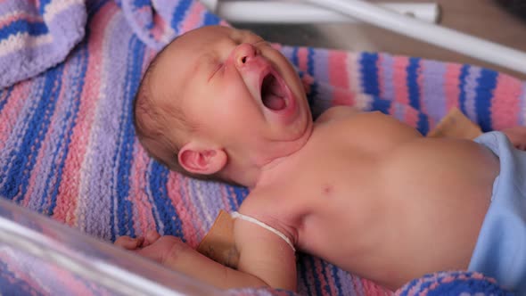 Closeup Portrait of a Newborn Baby in a Hospital in a Crib