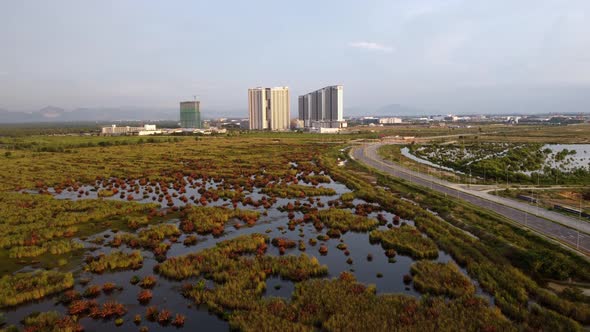 Aerial view development town near the wetland