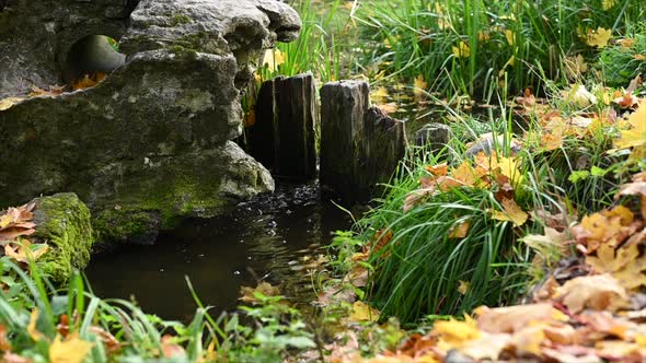 A Small Stream Flows Through the Rocks and Greenery