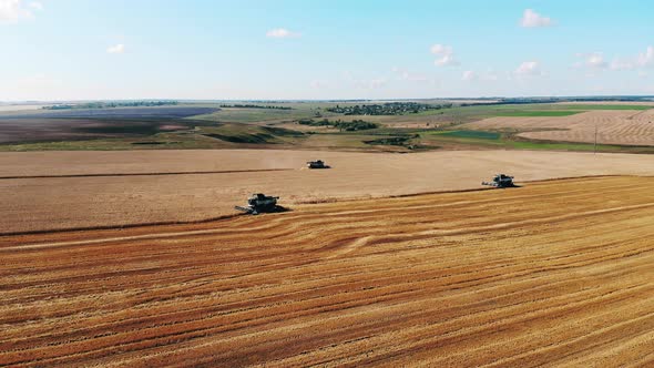 Industrial Machines Are Harvesting Crops on the Vast Field