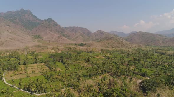 Agricultural Land in Indonesia