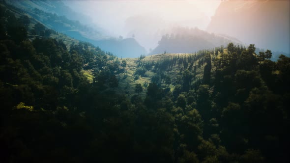 Autumn Forest on Green Rocky Hills