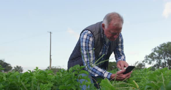 Mature man working on farm