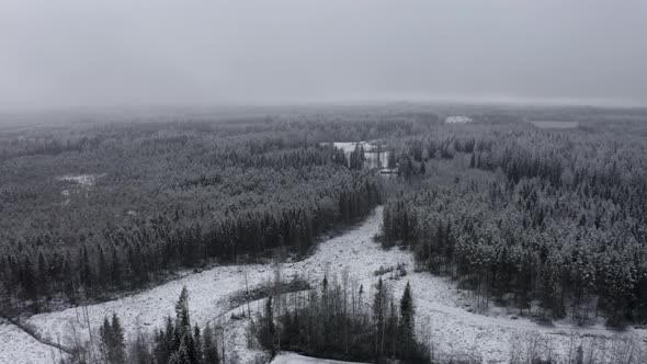 Snow Covered Forest in Hämeenlinna, AERIAL DOLLY FORWARD