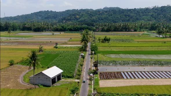 Road through cultivated fields in remote rural area of Indonesia aerial panorama