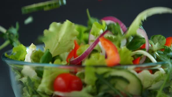 Fresh Salad Flying to Bowl in Super Slow Motion