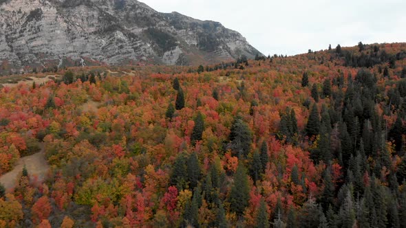 Aerial traversing shot over the fall colors near Squaw Peak in Utah.