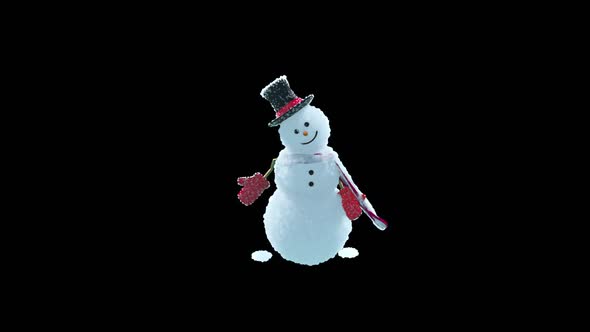 52 Snowman Dancing HD