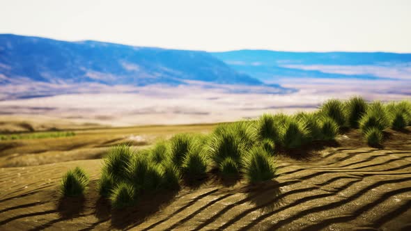 Desert Landscape in Crater National Park