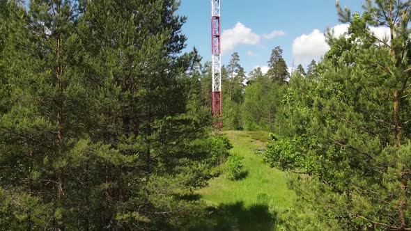 Lookout tower in the woods. Fire tower in the woods